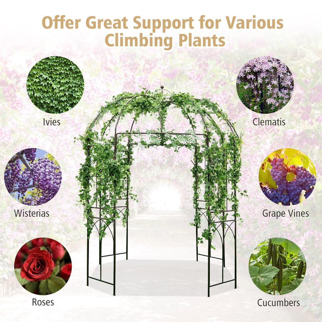 Gymax Support pour plantes grimpantes en forme de cage à oiseaux, tonnelle de jardin, arche pour mariage et fête