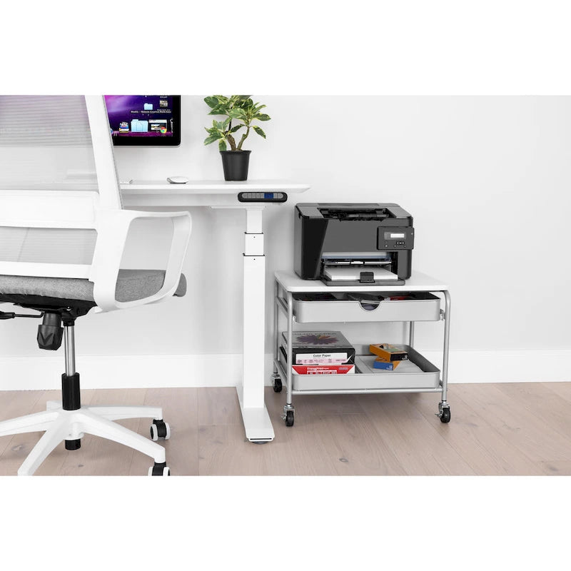 Meuble de rangement/Support d'imprimante sous le bureau, argent/blanc