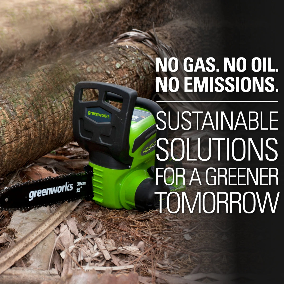 Tronçonneuse sur batterie Greenworks 12 40 V